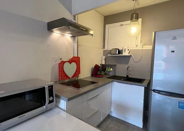 公寓 T1 Moderne Au Centre-ville D'aix-les-bains - Fr-1-555-33 艾克斯莱班