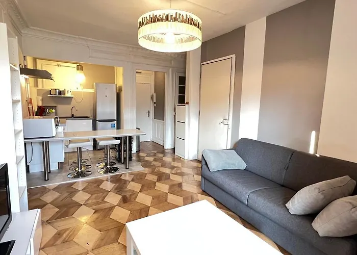 T1 Moderne Au Centre-ville D'aix-les-bains - Fr-1-555-33 *